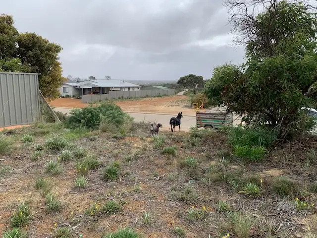 Fourth view of Homely land listing, 33 France Street, Hopetoun WA 6348
