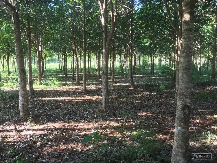 Main view of Homely rural property listing, L15 Broccardo Road, Garradunga QLD 4860
