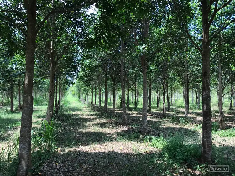 Third view of Homely rural property listing, L15 Broccardo Road, Garradunga QLD 4860