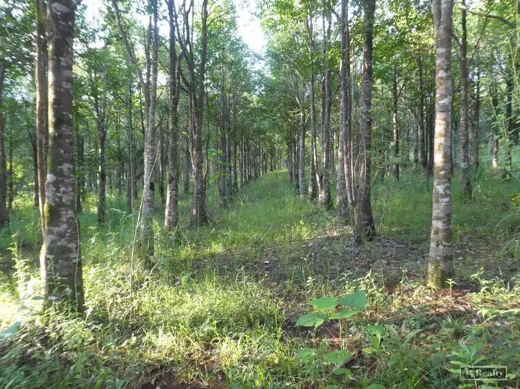 Sixth view of Homely rural property listing, L15 Broccardo Road, Garradunga QLD 4860