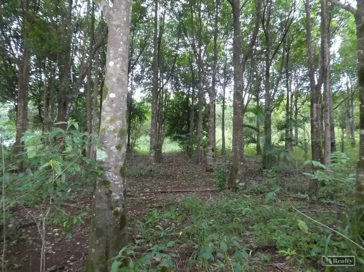 Seventh view of Homely rural property listing, L15 Broccardo Road, Garradunga QLD 4860