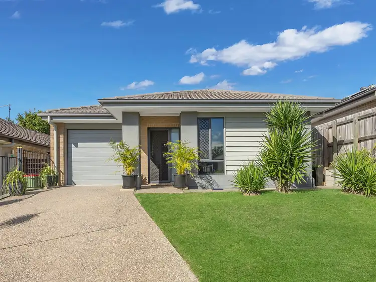16 Kinkajou Street, Deebing Heights QLD 4306