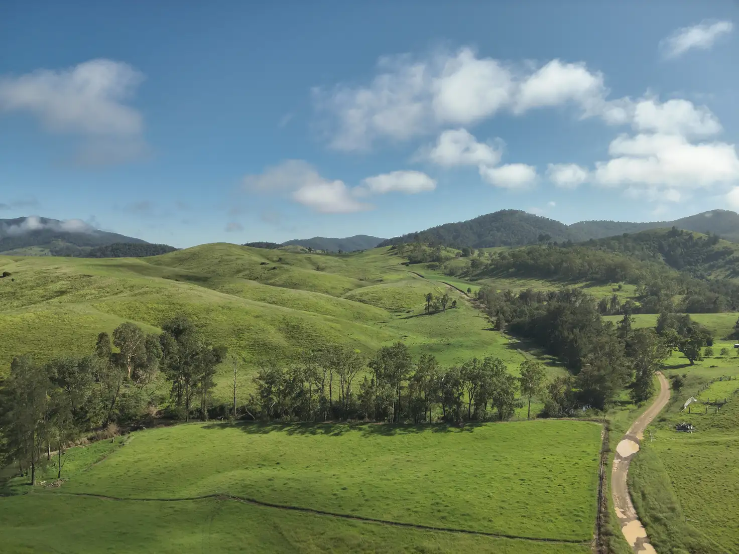 Main view of Homely rural property listing, 128 Cells Road, Number One NSW 2424