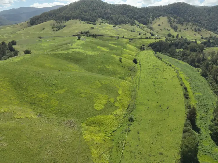 Fourth view of Homely rural property listing, 128 Cells Road, Number One NSW 2424