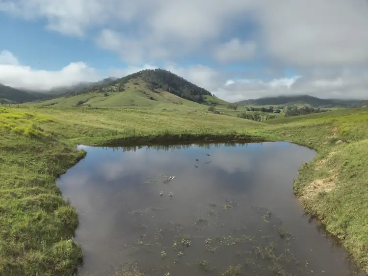 Fifth view of Homely rural property listing, 128 Cells Road, Number One NSW 2424