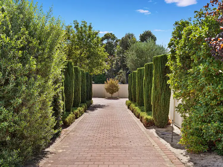 10 Bedingfeld Road