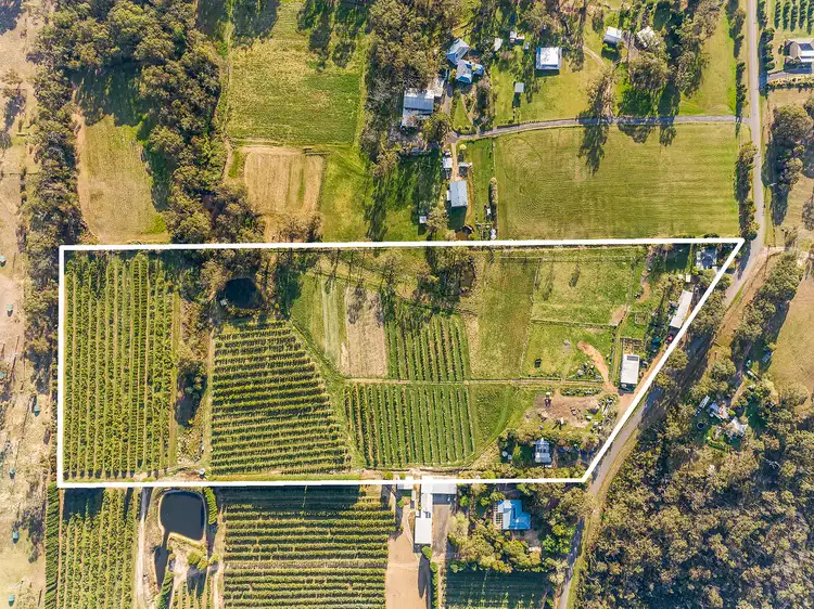 75 Waratah Road, Mangrove Mountain NSW 2250