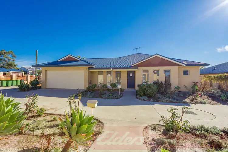 Main view of Homely unit listing, 1/60 Venn Street, Collie WA 6225