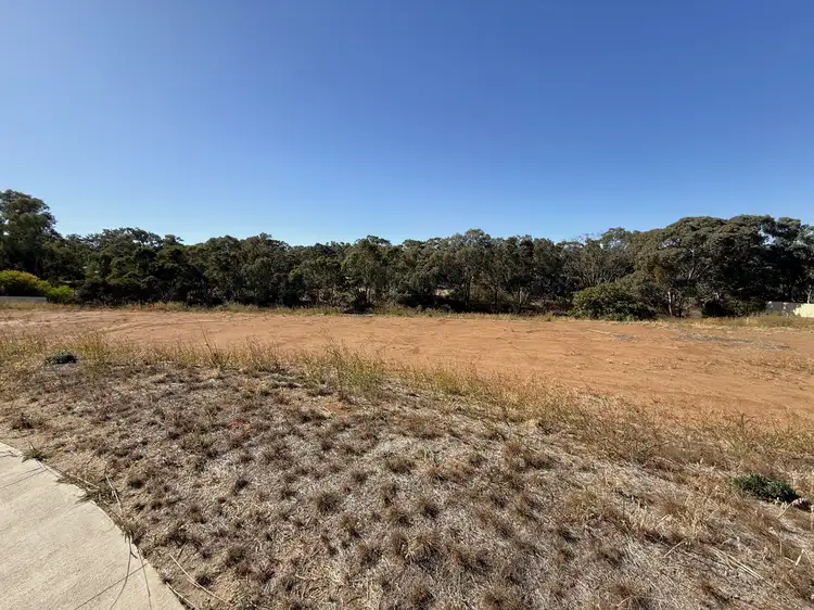 10 Kinlyside Close, Young NSW 2594