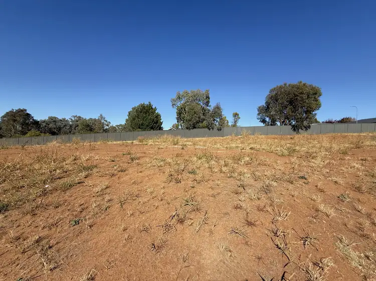 16 Armstrong Place, Young NSW 2594