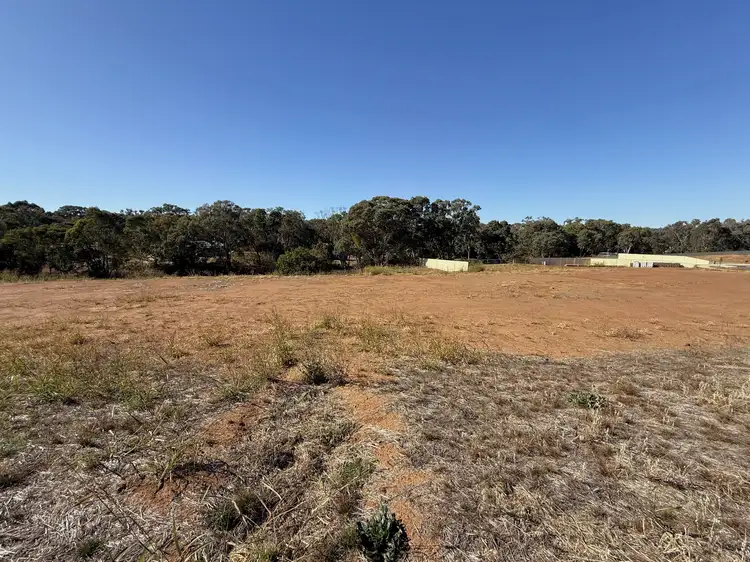 6 Kinlyside Close, Young NSW 2594