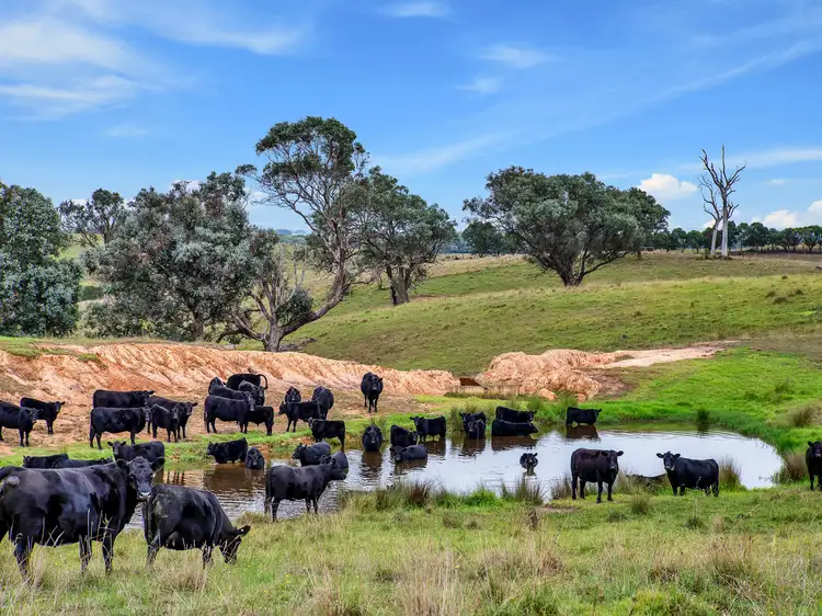 127 Balgonie Lane, Perry Bridge VIC 3862