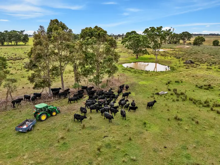 Second view of Homely rural property listing, 127 Balgonie Lane, Perry Bridge VIC 3862