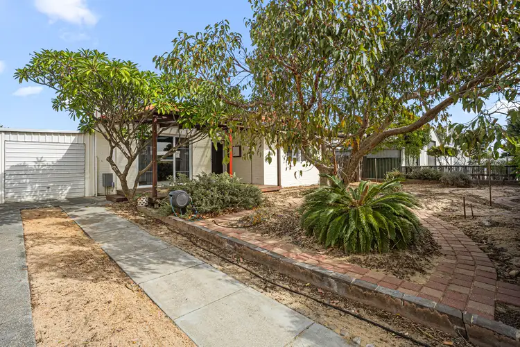 3 Curven Road, Hamilton Hill WA 6163