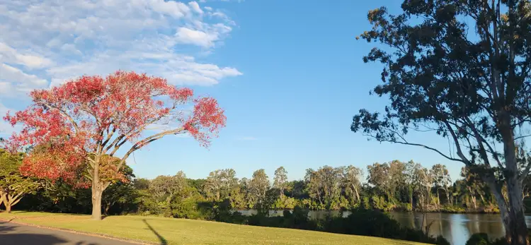 17 Esplanade, Yeronga QLD 4104