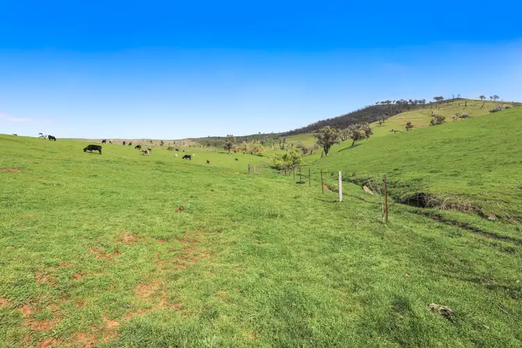 Fifth view of Homely rural property listing, 3 West Gilmore Road, Tumut NSW 2720