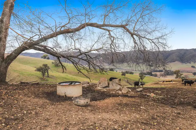 Fifth view of Homely rural property listing, 3 West Gilmore Road, Tumut NSW 2720
