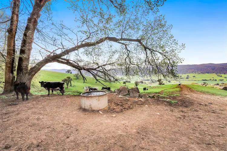 Seventh view of Homely rural property listing, 3 West Gilmore Road, Tumut NSW 2720