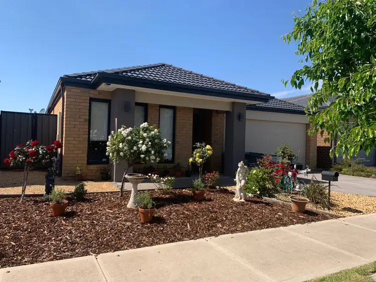 13 Guilfoylia Drive, Cranbourne North VIC 3977