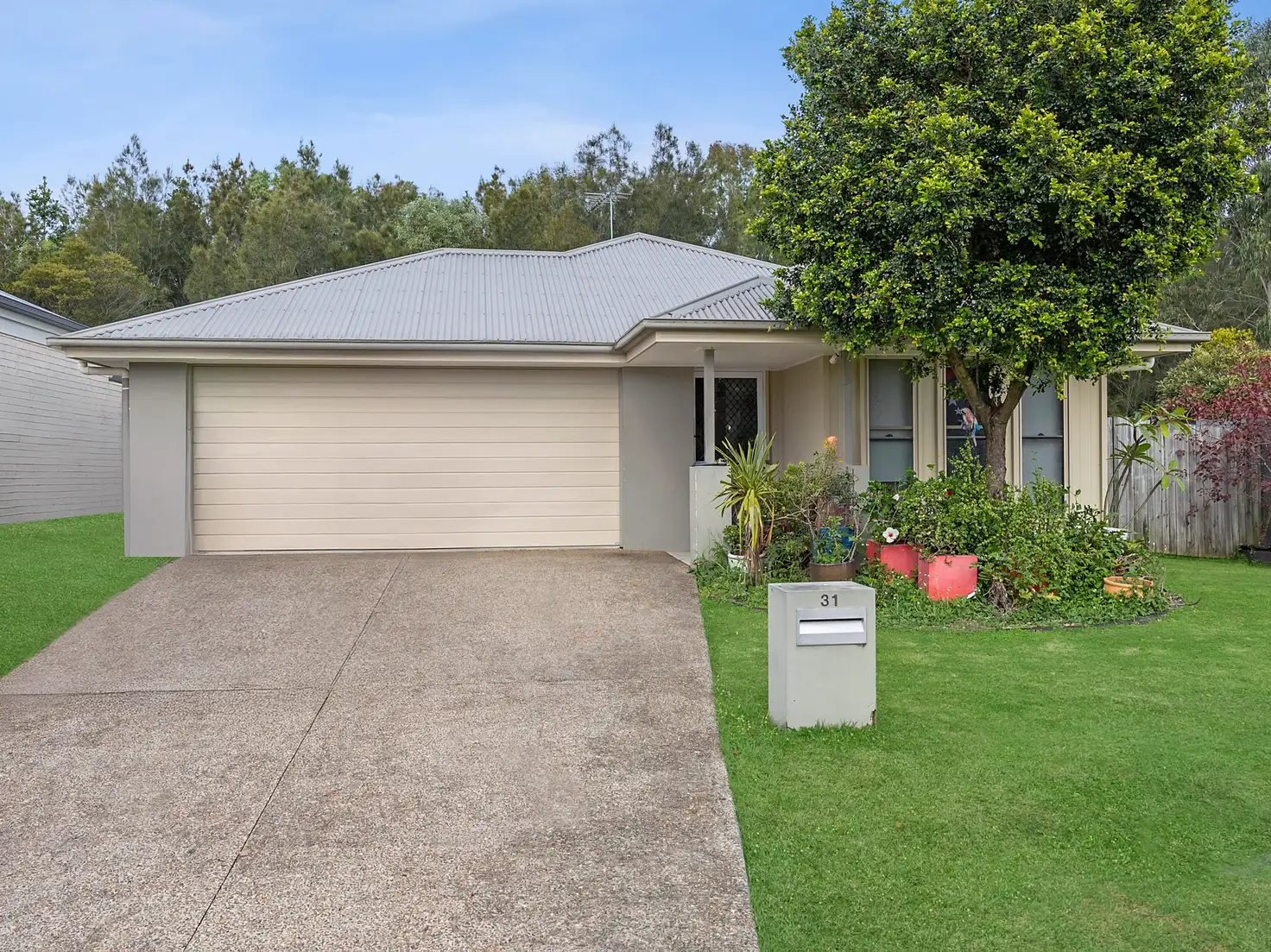 Main view of Homely house listing, 31 Coggins Street, Caboolture South QLD 4510