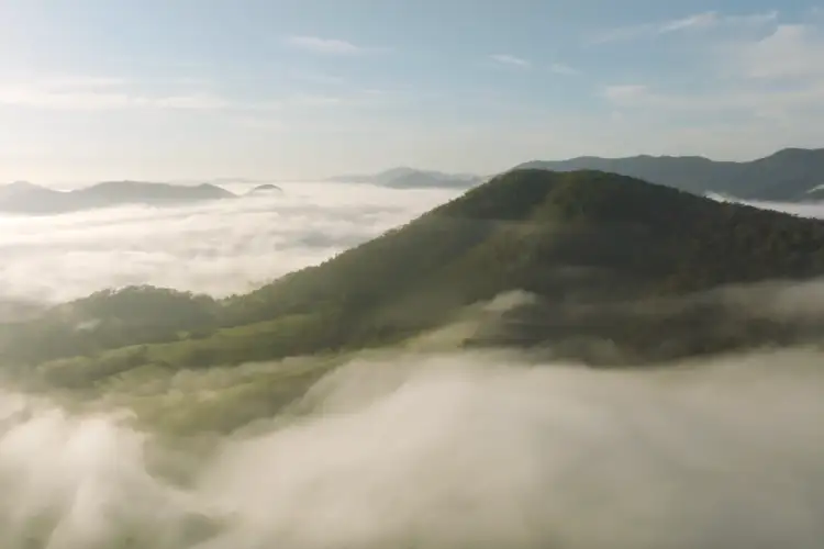 Fourth view of Homely rural property listing, 1989 Nowendoc Road, Mount George NSW 2424