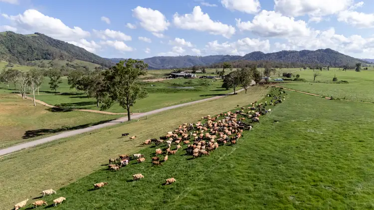 Main view of Homely rural property listing, 846 Toms Creek Road, Ellenborough NSW 2446