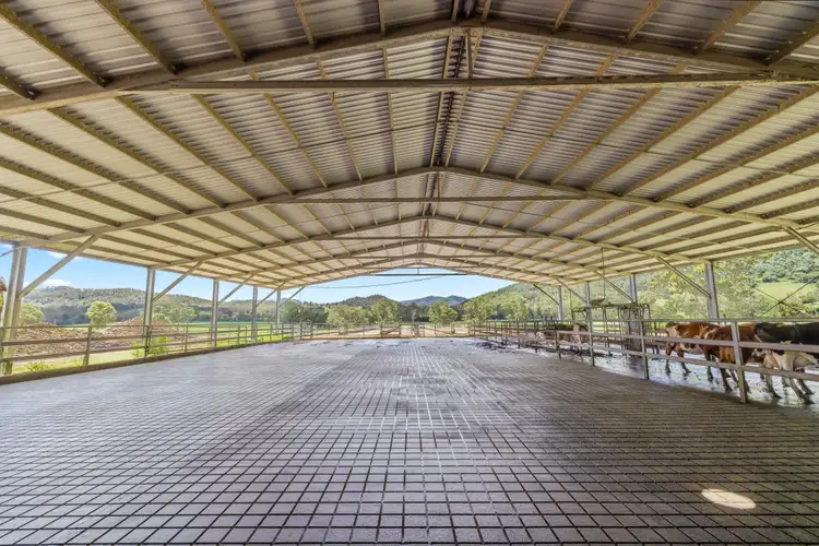 Sixth view of Homely rural property listing, 846 Toms Creek Road, Ellenborough NSW 2446