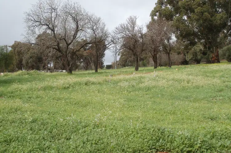 Seventh view of Homely land listing, 67 Werribee Road, Wundowie WA 6560