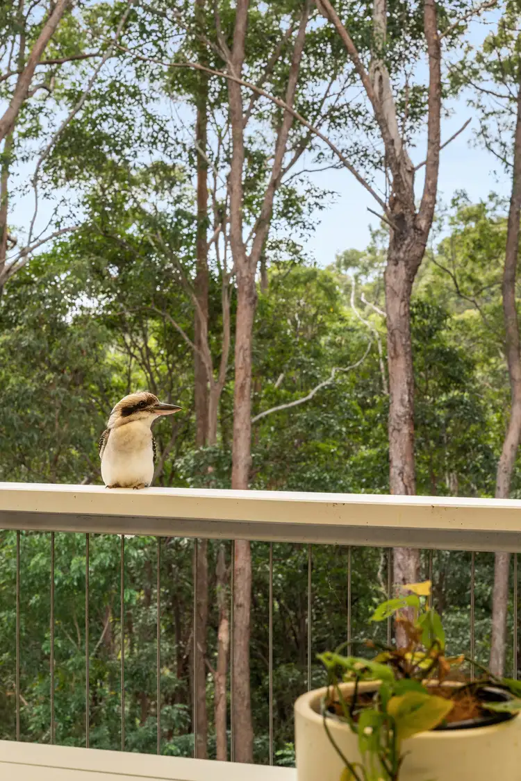 Sixth view of Homely house listing, 21-23 Settlers Ridge, Buderim QLD 4556