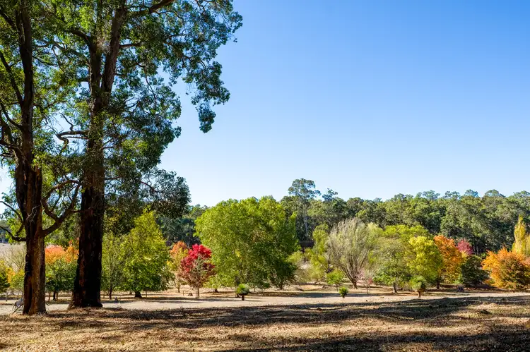 Sixth view of Homely house listing, 1106 1256 1410 Wilde Road, Dwellingup WA 6213