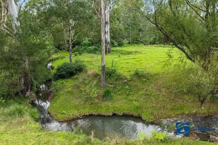 Third view of Homely rural property listing, 1212 Beaury Creek Road, Urbenville NSW 2475