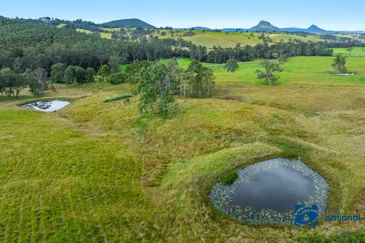 Fourth view of Homely rural property listing, 1212 Beaury Creek Road, Urbenville NSW 2475