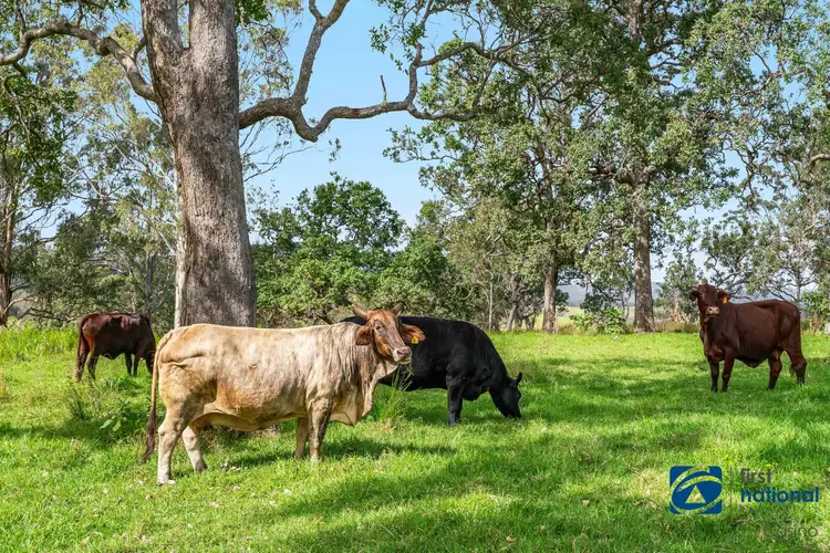 Fifth view of Homely rural property listing, 1212 Beaury Creek Road, Urbenville NSW 2475