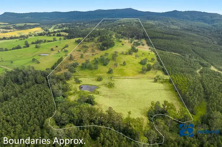 Sixth view of Homely rural property listing, 1212 Beaury Creek Road, Urbenville NSW 2475
