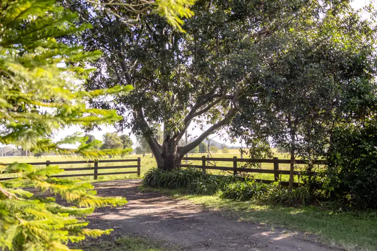 Fourth view of Homely rural property listing, 70 Candoormakh Crescent, Nabiac NSW 2312