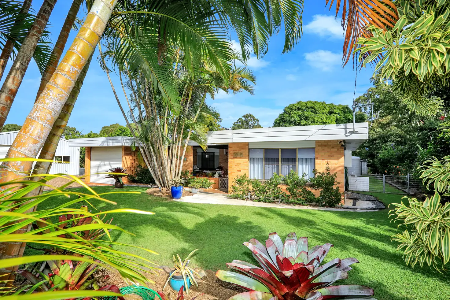 Main view of Homely house listing, 8 Jacksons Road, South Isis QLD 4660