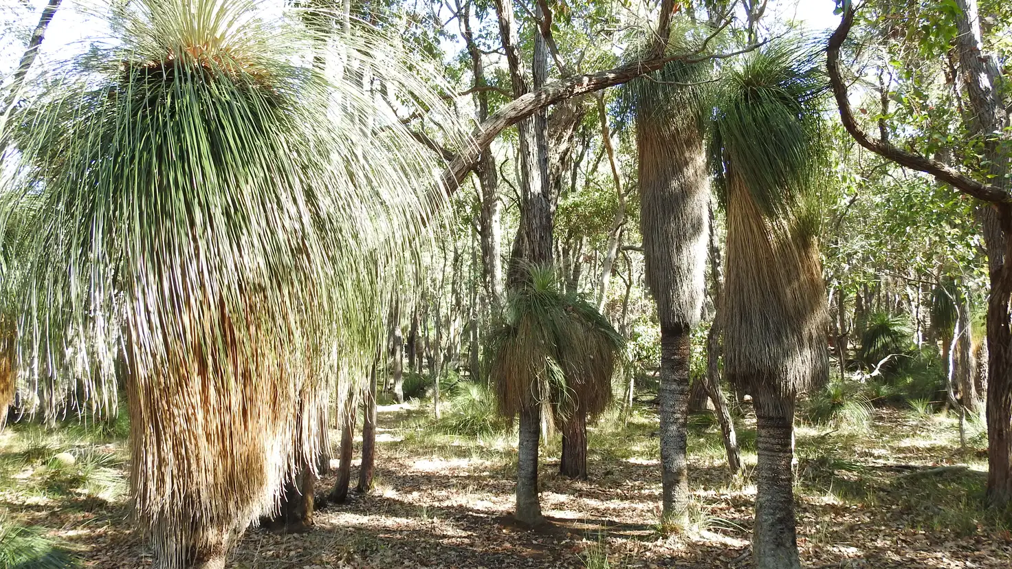 Main view of Homely rural property listing, 138 Jacka Road (Boallia), Busselton WA 6280