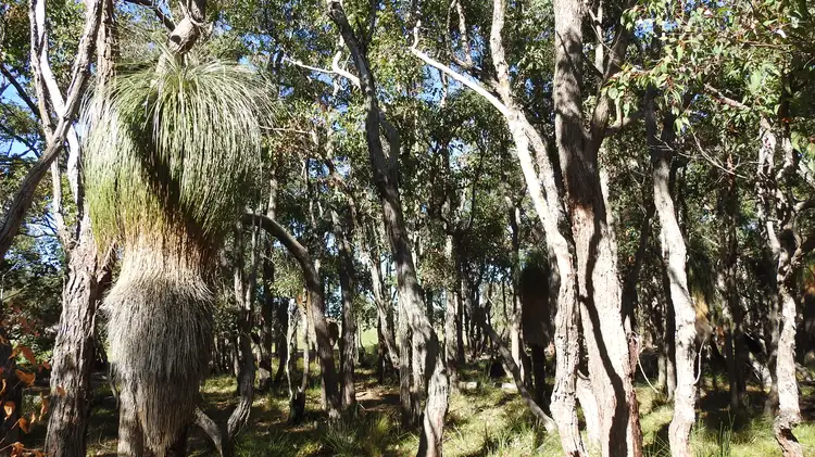 Fifth view of Homely rural property listing, 138 Jacka Road (Boallia), Busselton WA 6280