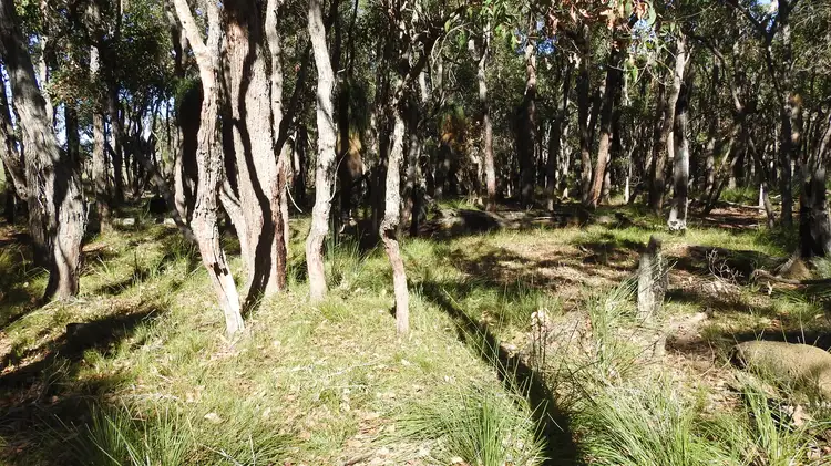 Sixth view of Homely rural property listing, 138 Jacka Road (Boallia), Busselton WA 6280
