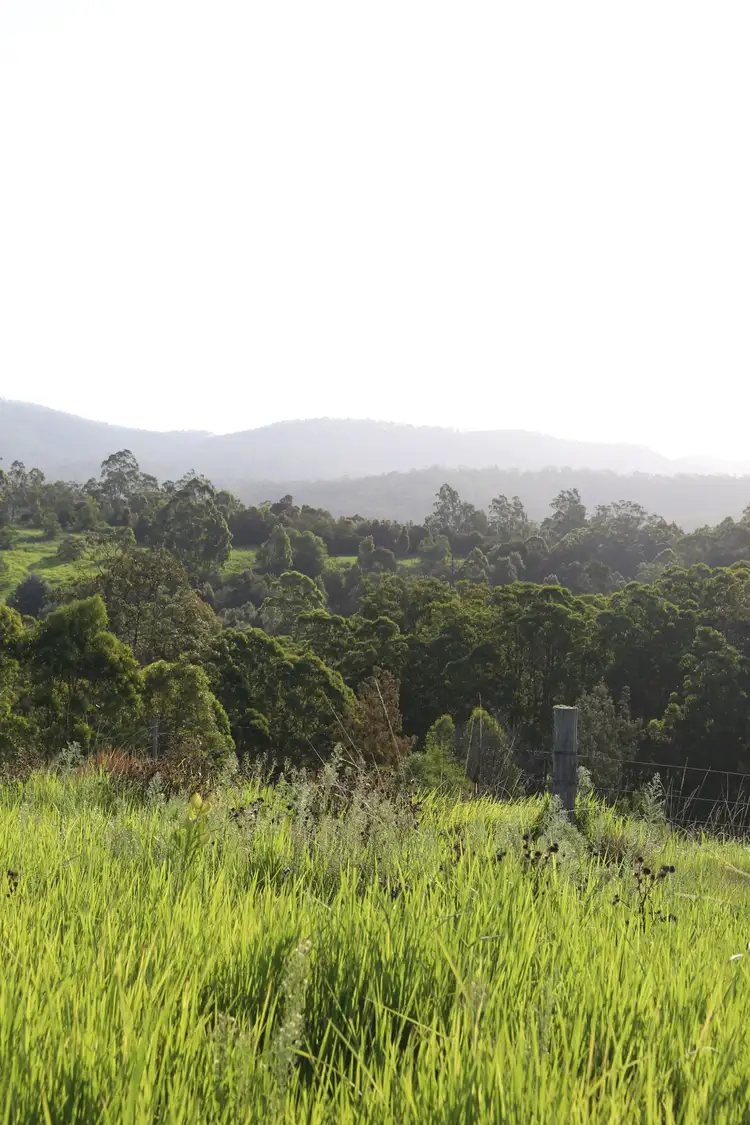 Main view of Homely rural property listing, 212D Norries Road, Bunyah NSW 2429