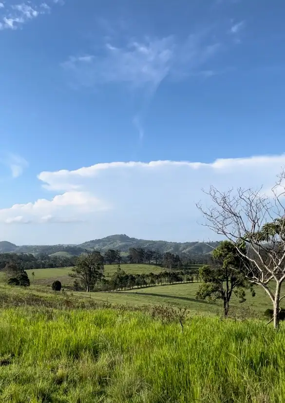 Third view of Homely rural property listing, 212D Norries Road, Bunyah NSW 2429
