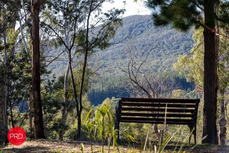 Third view of Homely rural property listing, 211 Foggy Forest Drive, Captains Flat NSW 2623