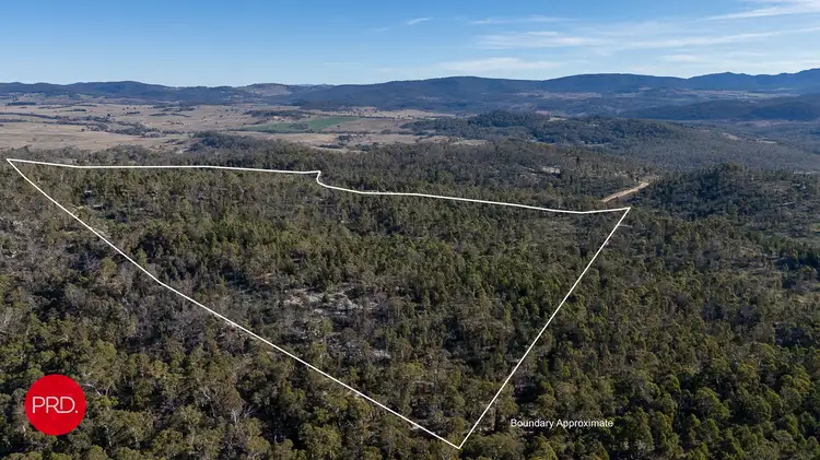 Fourth view of Homely rural property listing, 211 Foggy Forest Drive, Captains Flat NSW 2623