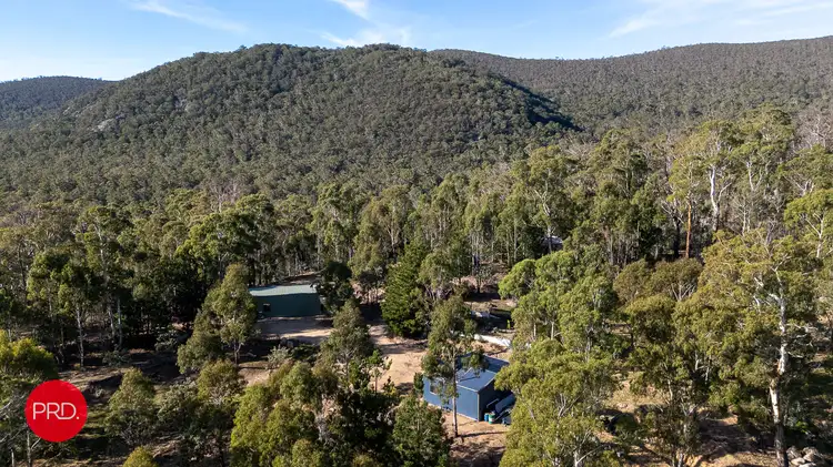 Fifth view of Homely rural property listing, 211 Foggy Forest Drive, Captains Flat NSW 2623