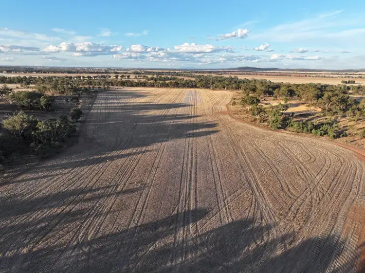 Second view of Homely rural property listing, South Westbury Goldfields Way, Barmedman NSW 2668