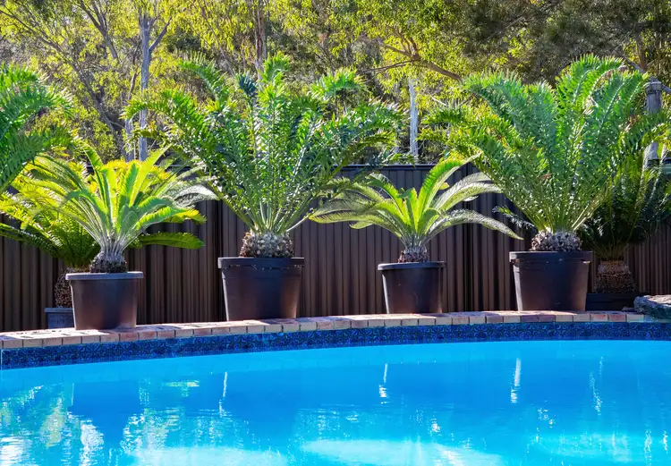 Fourth view of Homely house listing, 2 Drysdale Avenue, Collingwood Park QLD 4301
