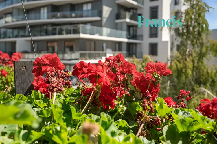 Third view of Homely apartment listing, 94/5 Hely Street, Griffith ACT 2603