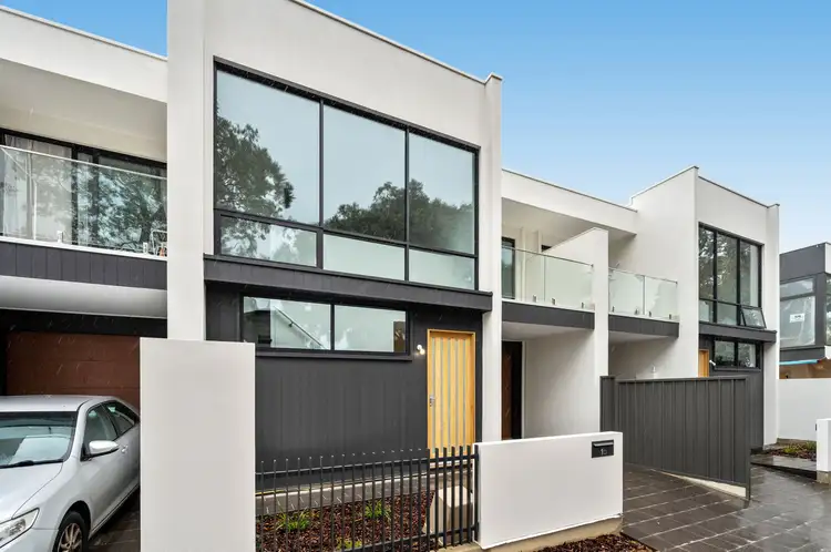 1B Birks Street, Parkside SA 5063