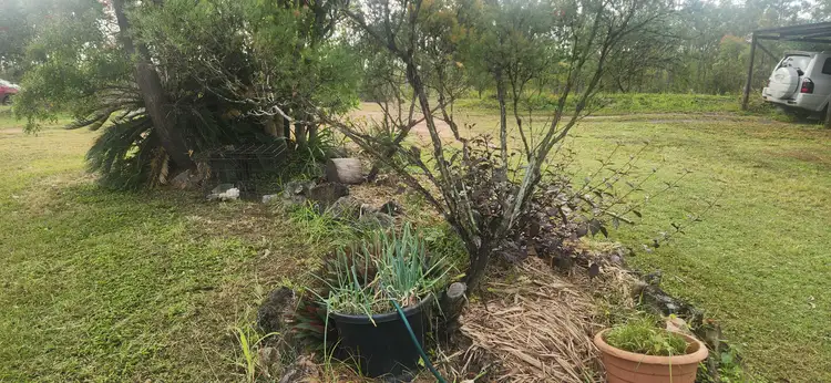 Seventh view of Homely house listing, 206 Delan Road, Bullyard QLD 4671