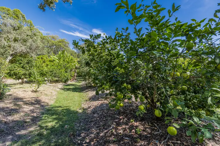 Fourth view of Homely house listing, 43 Streeter Drive, Agnes Water QLD 4677